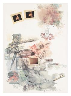 Robert Rauschenberg - Lichen