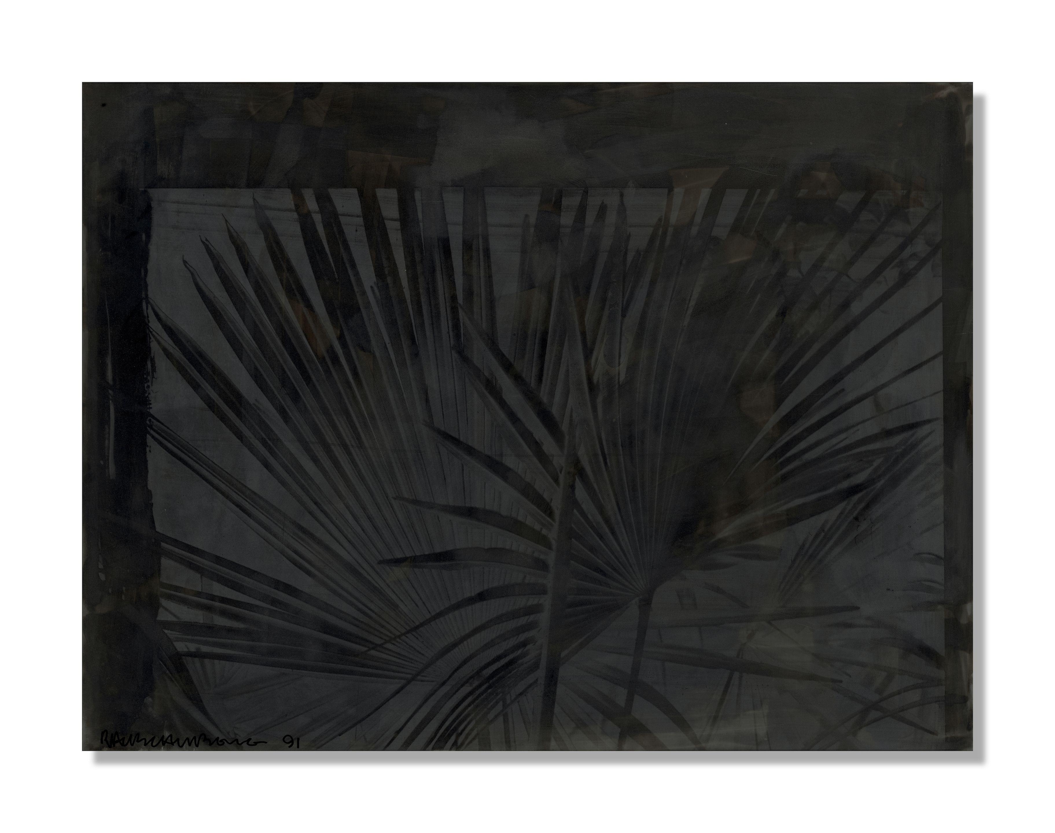 Robert Rauschenberg - Palm Paw (Night Shade)