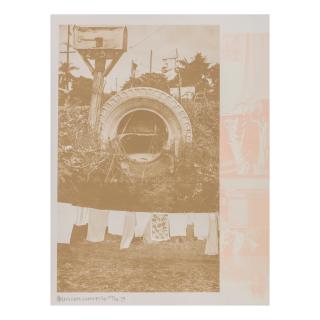 Robert Rauschenberg - Rookery Mounds - Mud Dauber