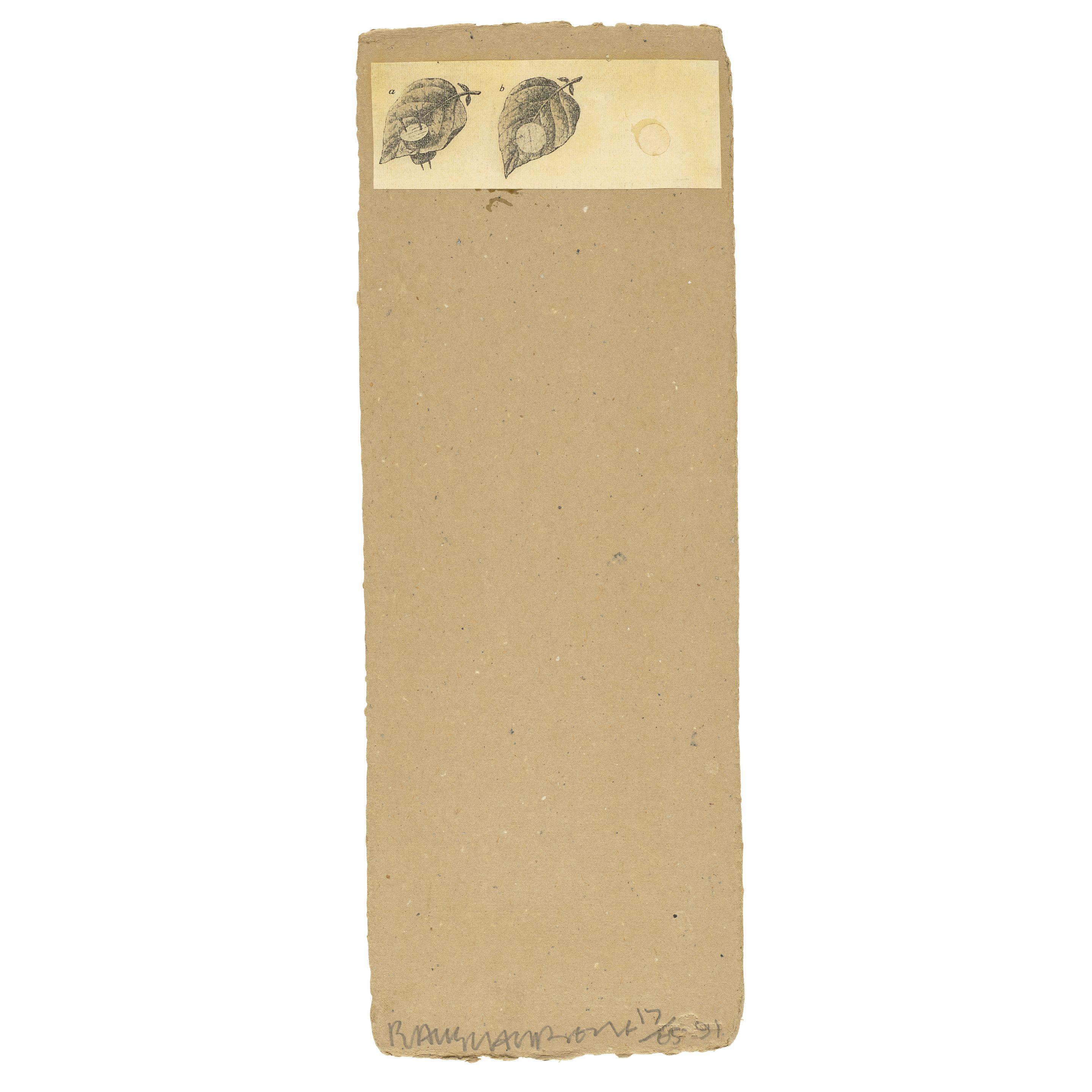 Robert Rauschenberg - Shirtboard III