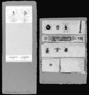 Robert Rauschenberg - Shirtboards: Two Plates