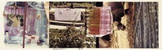 Robert Rauschenberg - Studies for Chinese Summerhall V (Gemini 1168)