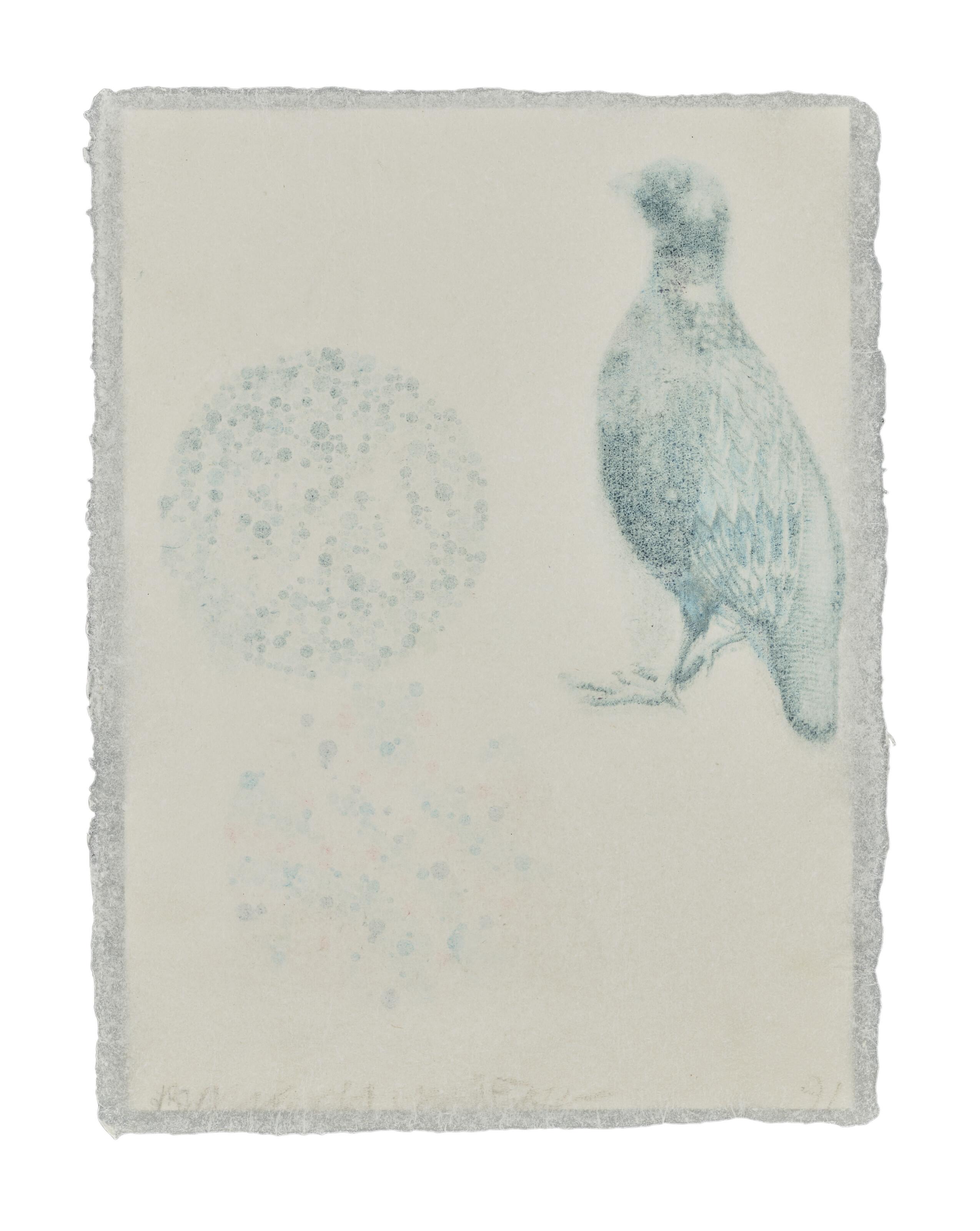 Robert Rauschenberg - Untitled