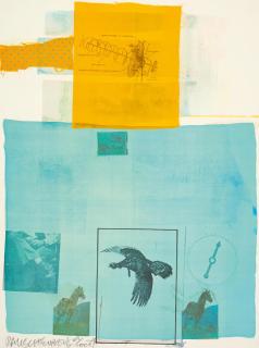 Robert Rauschenberg - Why you can\'t tell