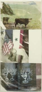 Robert Rauschenberg - Witness, from Speculations