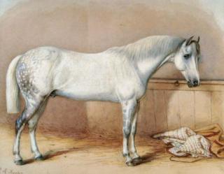 Robert Richard Scanlan - A Stabled Dappled Gray