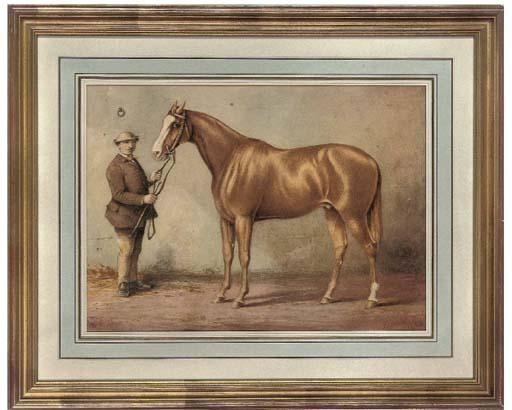 Robert Richard Scanlan - Blair Athol