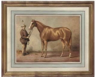 Robert Richard Scanlan - Blair Athol