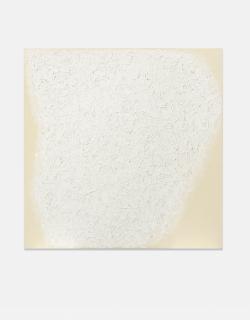 Robert Ryman - Basis