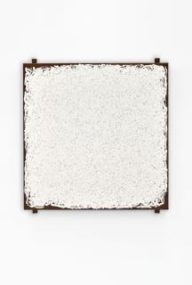 Robert Ryman - Branch