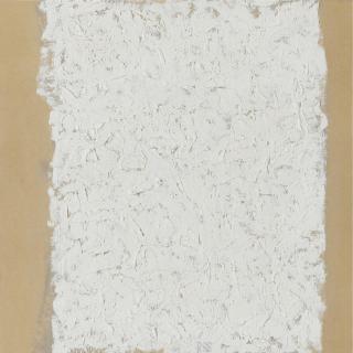 Robert Ryman - Enter