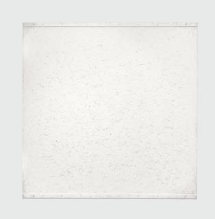 Robert Ryman - Media