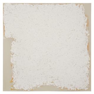 Robert Ryman - Subject