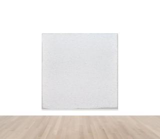 Robert Ryman - Swift