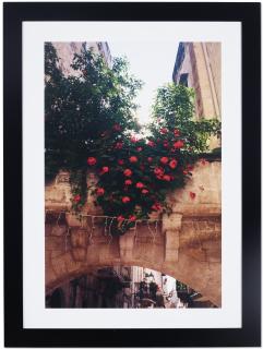 Robert Scheuerman - Allegrezza