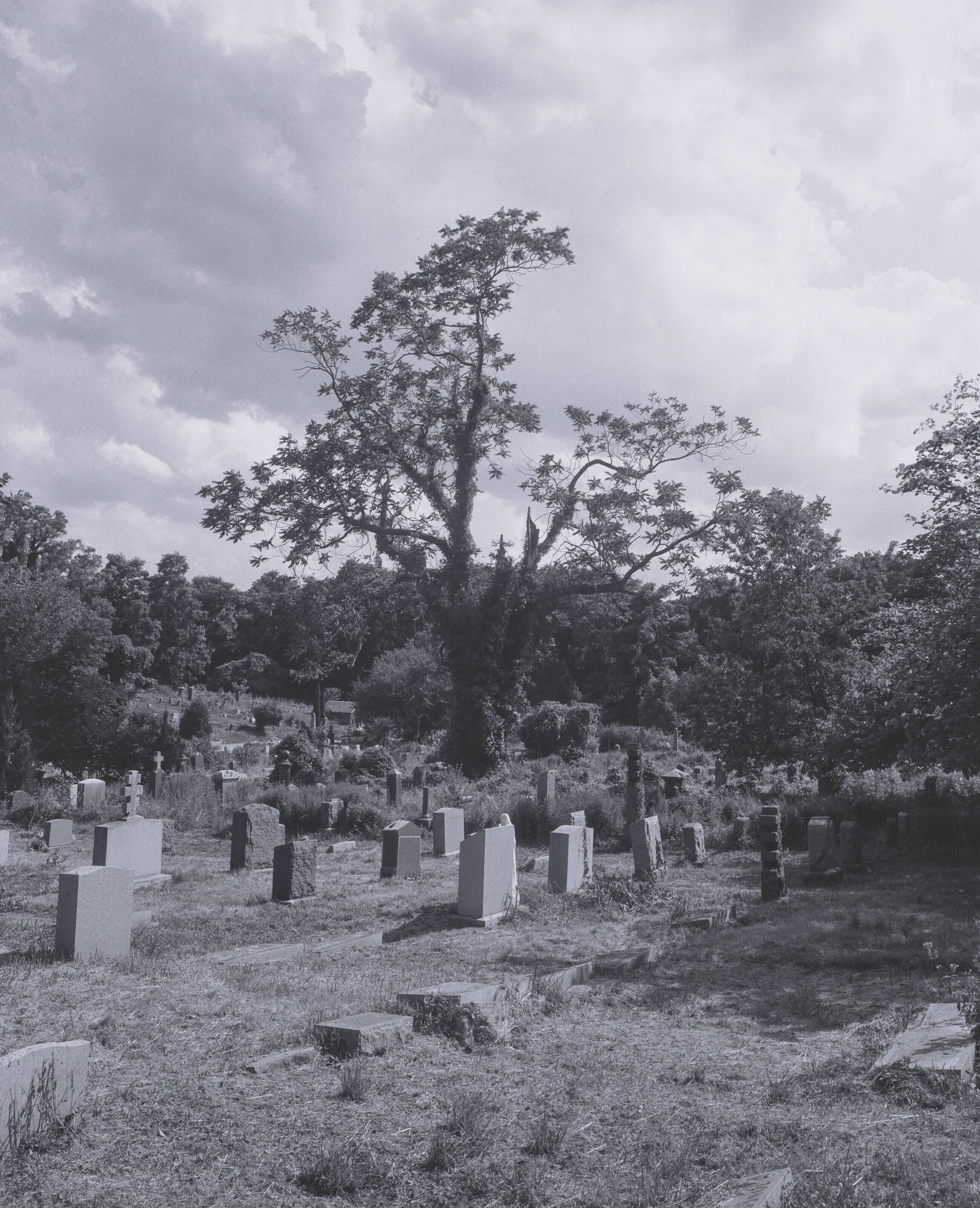 Robert Scheuerman - The Funeral