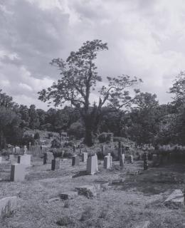 Robert Scheuerman - The Funeral