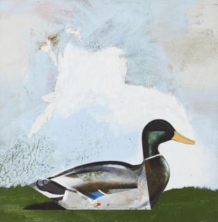 Robert Seidel - Erpel