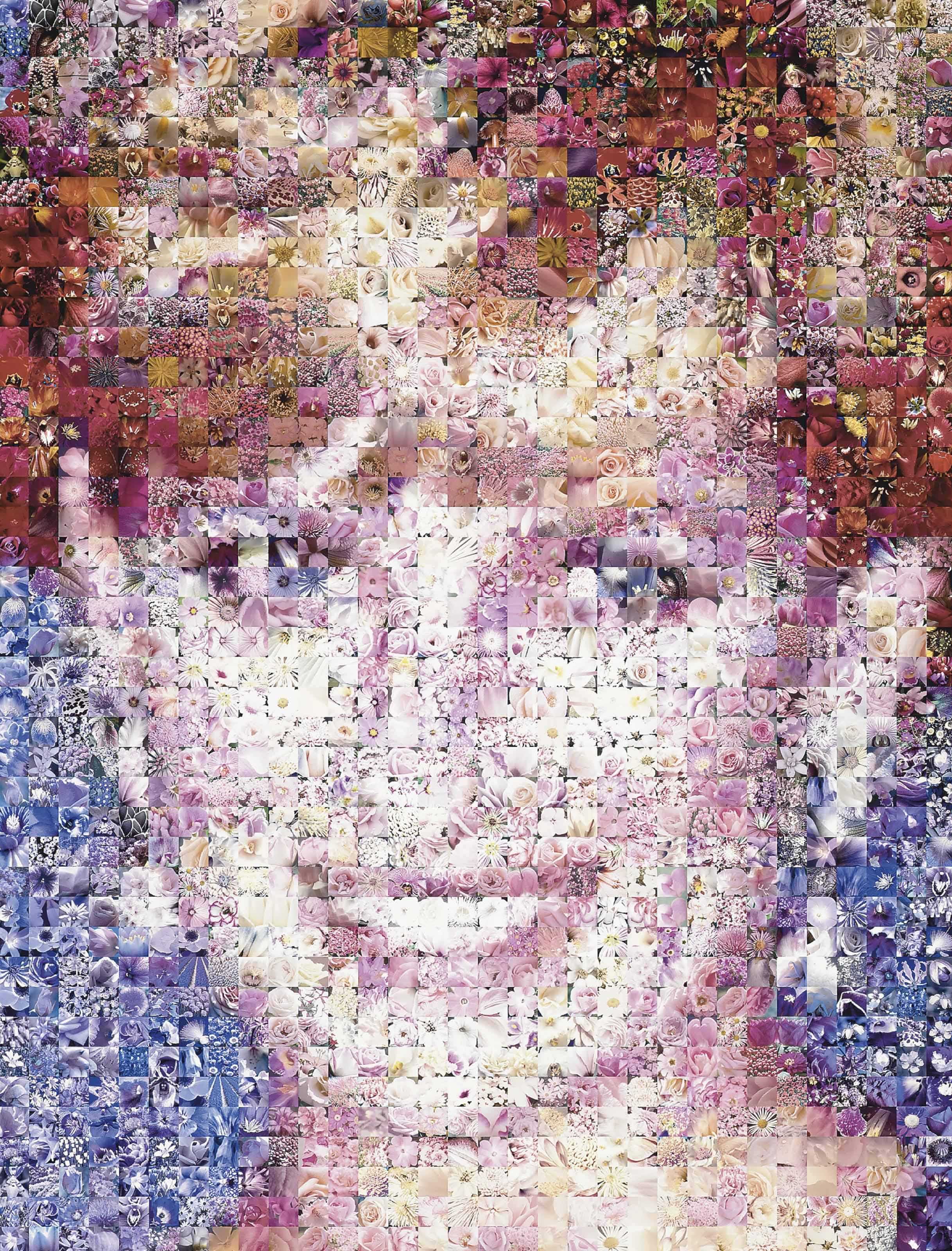 Robert Silvers - Diana