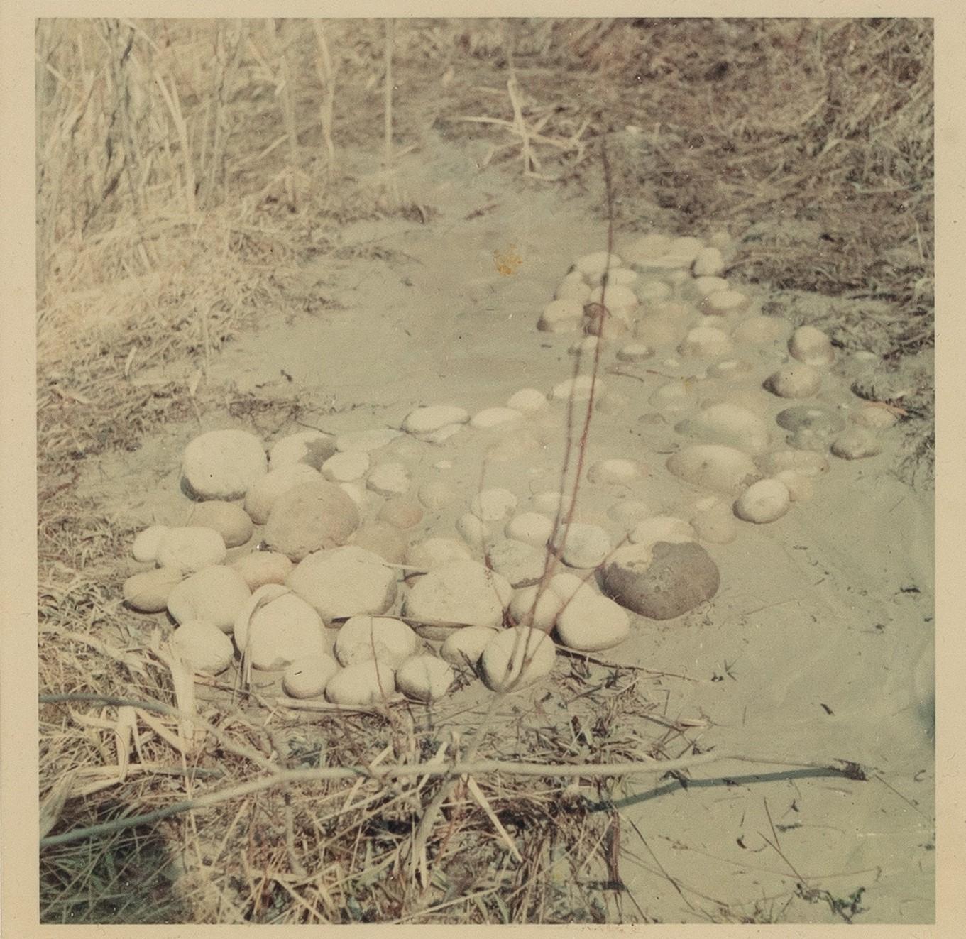 Robert Smithson - Location Alfred, NY