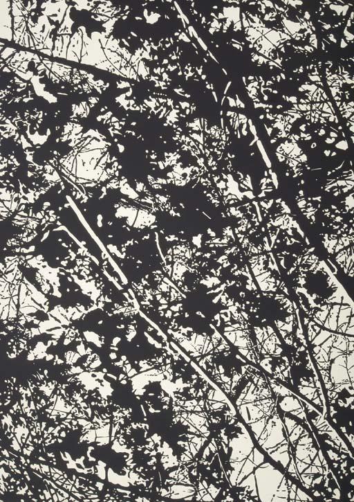 Robert Stanley - Black and White Trees