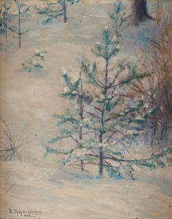 Robert Thegerström - A winter landscape
