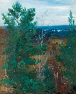 Robert Thegerström - Forest landscape, Dalarö