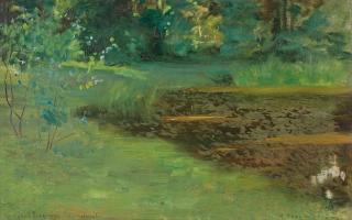 Robert Thegerström - Reflecting pond