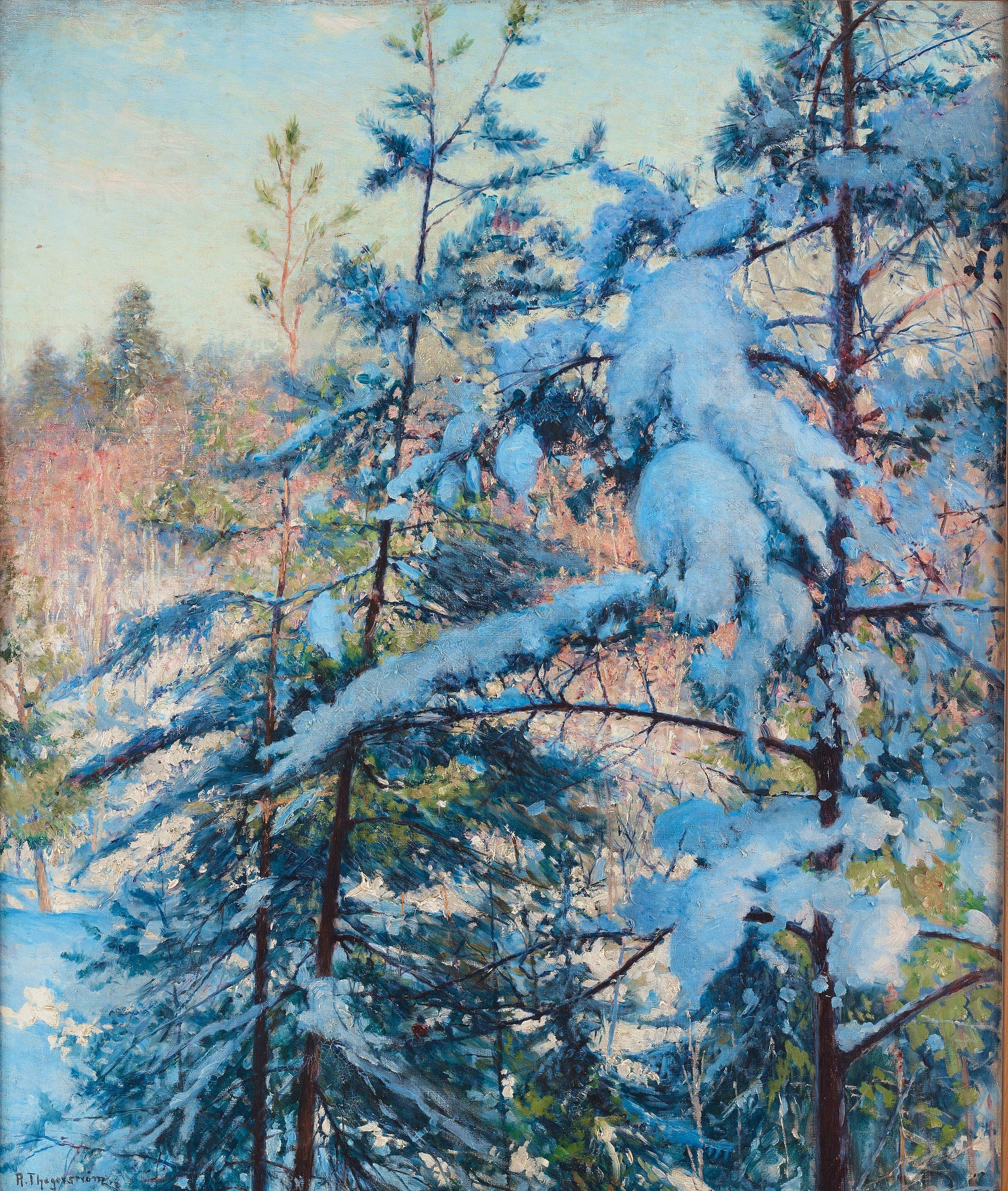 Robert Thegerström - Snow-laden pines