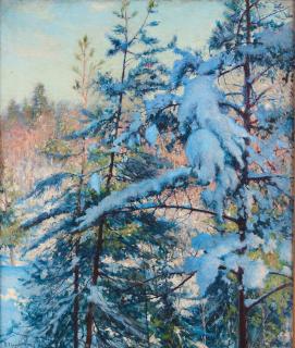 Robert Thegerström - Snow-laden pines