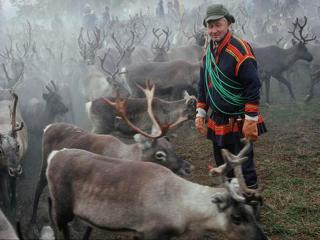 Robert van der Hilst - Lapland/Schweden 4