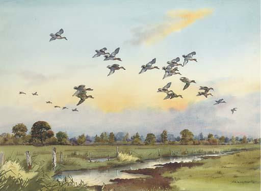Robert W. Milliken - Mallards In Flight