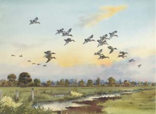 Robert W. Milliken - Mallards In Flight