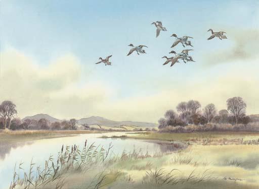 Robert W. Milliken - Pintail and quiet water