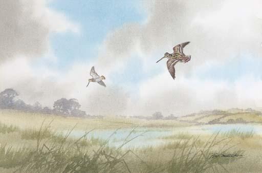 Robert W. Milliken - Snipe and woodcock in flight