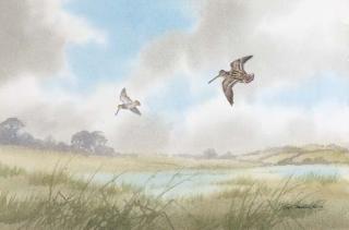 Robert W. Milliken - Snipe and woodcock in flight