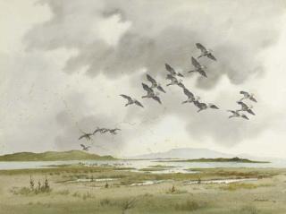 Robert W. Milliken - Whitefronts in a salt marsh, Co. Mayo, Ireland; and Red Grouse, Aberdeenshire