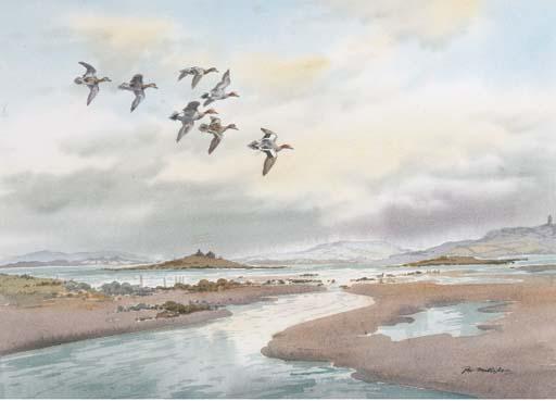 Robert W. Milliken - Widgeon in flight