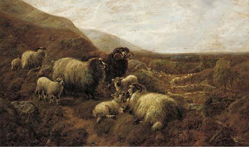 Robert Watson - A flock in a Argyleshire landscape, with Loch Goilhead beyond