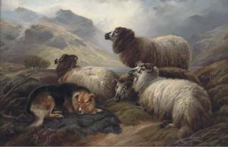 Robert Watson - Guarding the flock