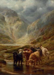 Robert Watson - Highland Cattle; and Highland Sheep