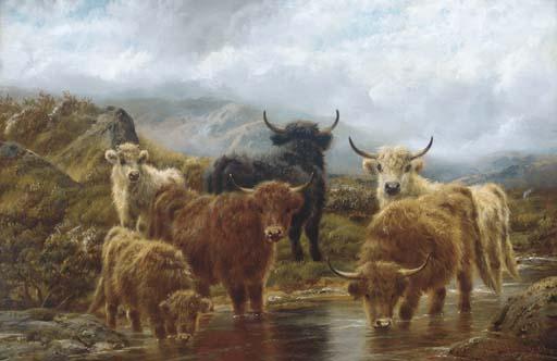 Robert Watson - Highland cattle watering
