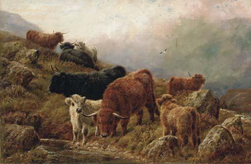 Robert Watson - Highland cattle
