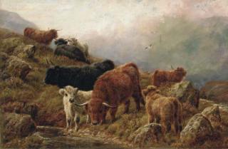 Robert Watson - Highland cattle