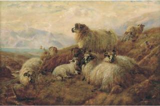 Robert Watson - Sheep In A Highland Landscape