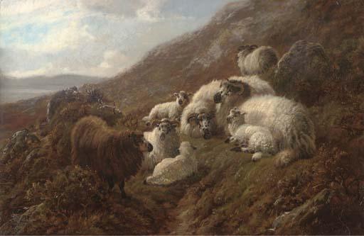 Robert Watson - Sheep Resting On A Hill Side