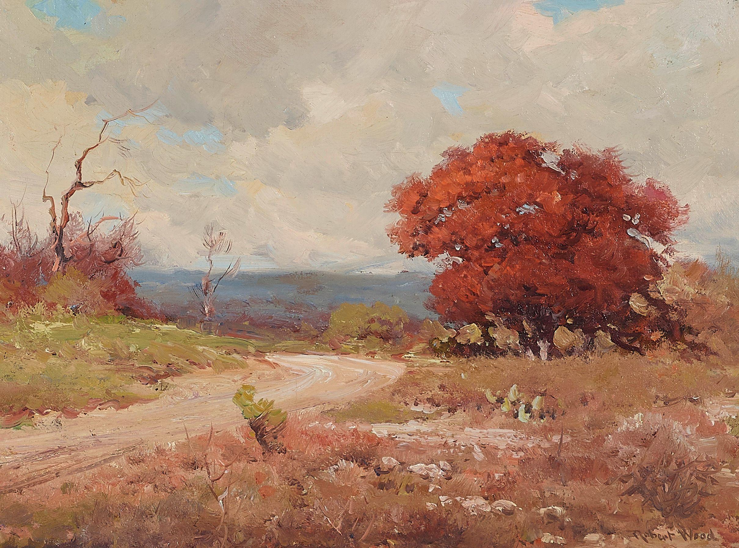 Robert William Wood - The road home