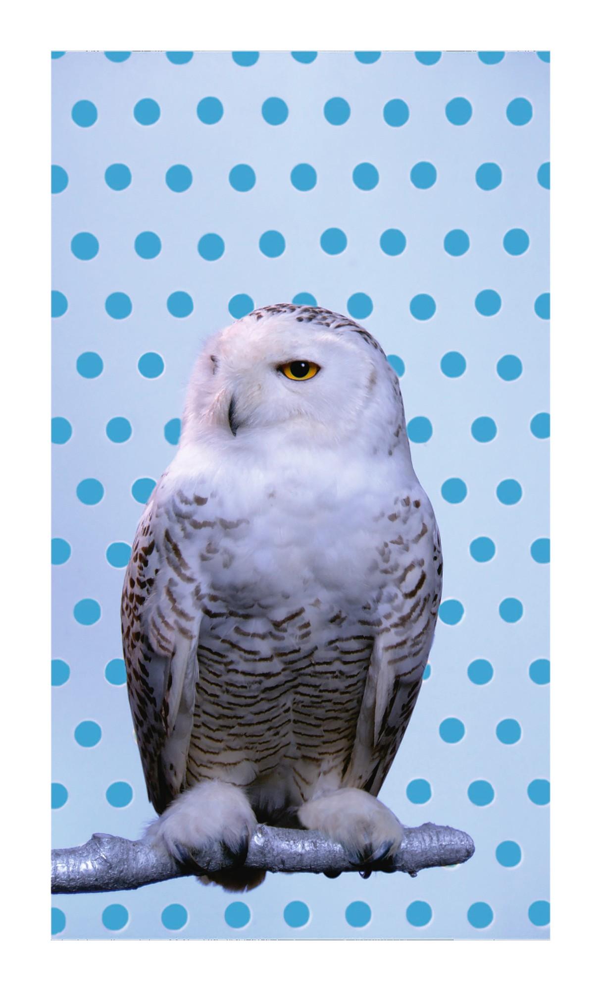 Robert Wilson - Kool/Snowy Owl
