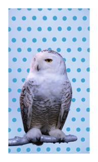 Robert Wilson - Kool/Snowy Owl