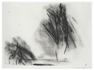 Robert Wilson - Sans Titre